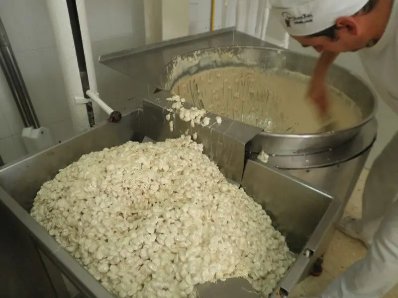 Turrón de Alicante - Imagen 4