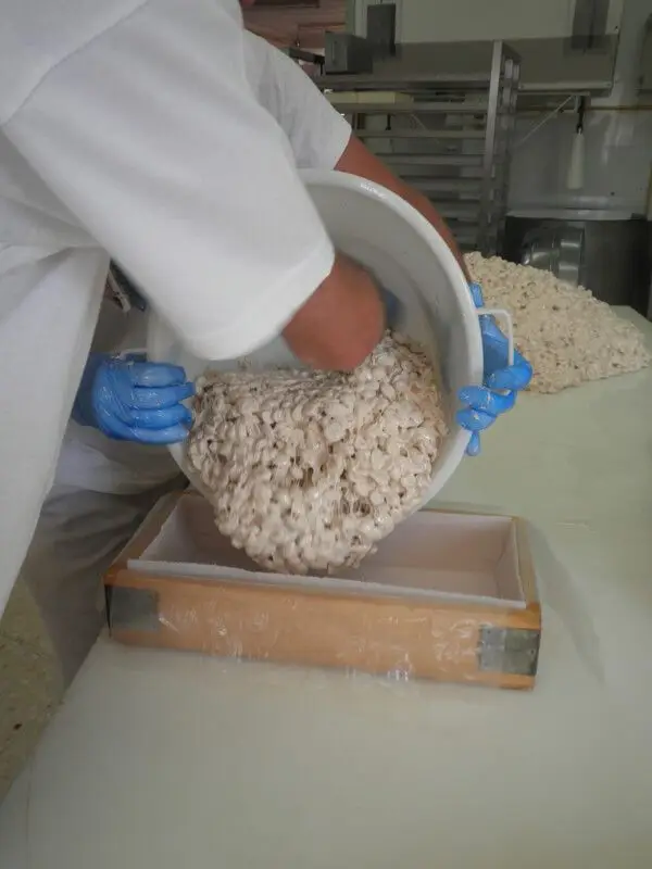 Turrón de Alicante - Imagen 5